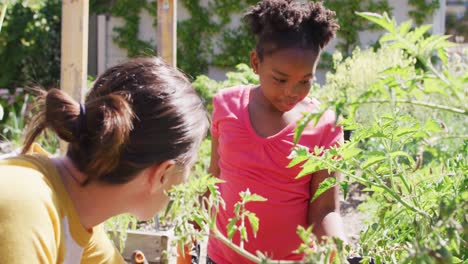 feliz mujer caucásica y su hija afroamericana jardinería juntos