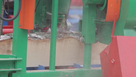 work of the sawmill in close-up. process of machining logs in equipment sawmill machine saw saws the tree trunk on the plank boards.