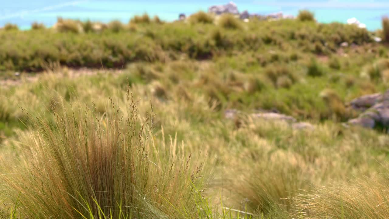 sierras de merlo, san luis durante las primeras horas de la mañana mostrando la impresionante belleza natural de la zona en el verano