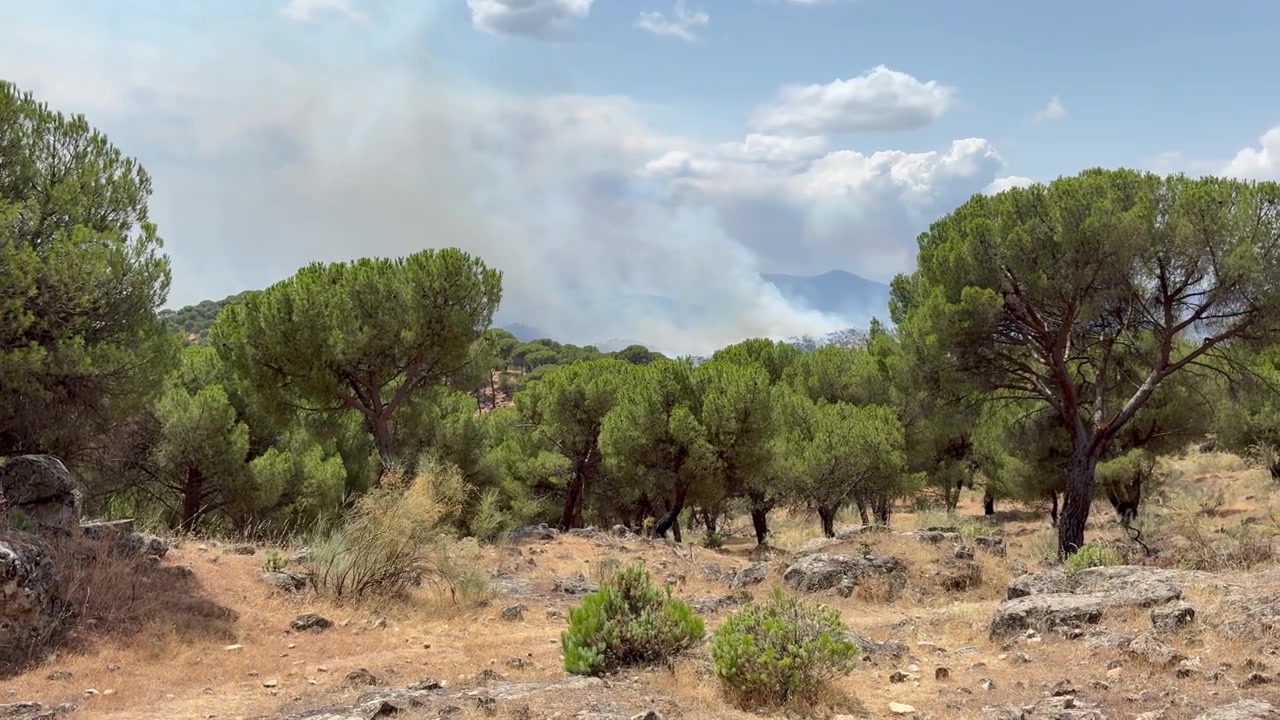 Fumo proveniente dagli incendi boschivi spagnoli. Emergenza nazionale