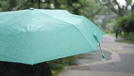 women under umbrella in rain ,