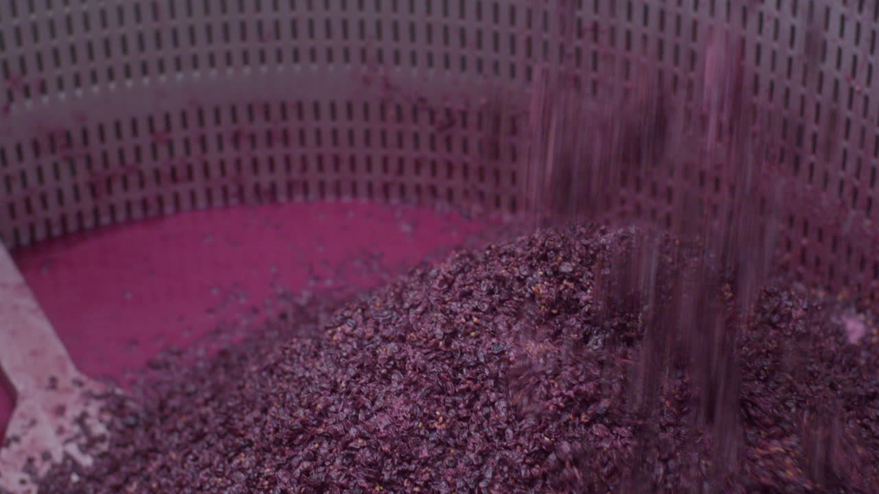 Grape remnants after wine pressing