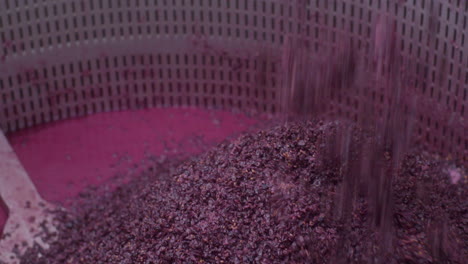 grape remnants after wine pressing