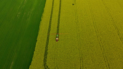 agricultural sprayer applying herbicides, pesticides, and fertilizers to rapeseed crops field in spring, aerial take off copy space