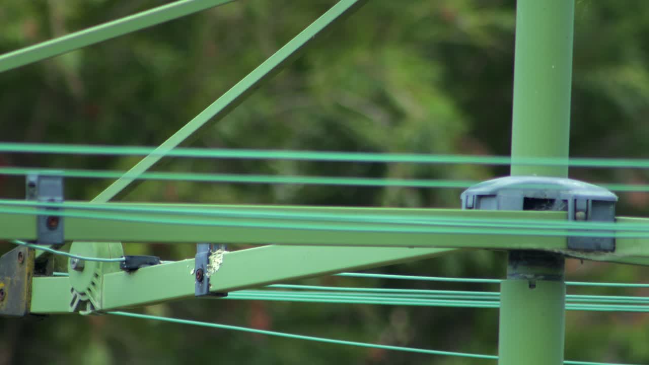 Juvenile Grey Butcherbird Perched On Hills Hoist Rotary Clothesline In Garden Then Flies Away, Daytime Maffra, Gippsland, Victoria, Australia