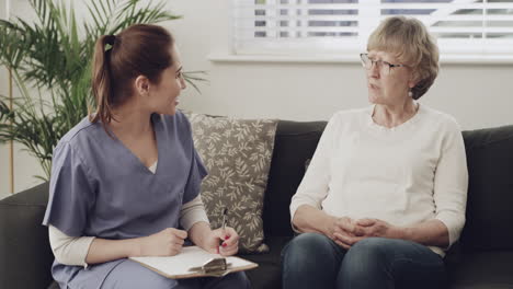 nurse and elderly patient consultation