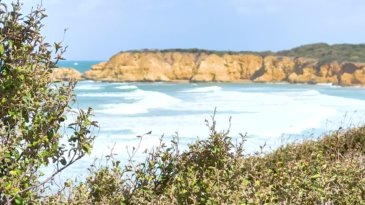 A serene coastal landscape in Torquay, Victoria, with waves crashing against cliffs under bright daylight