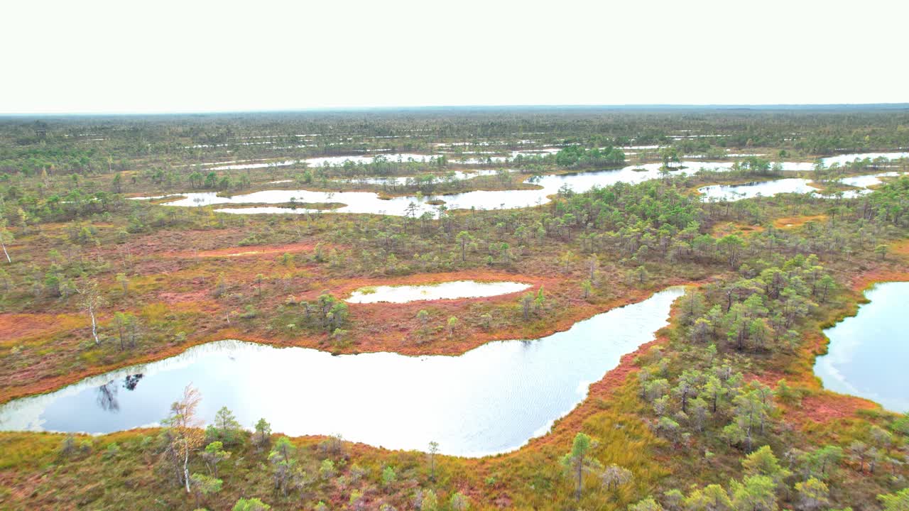 Vast aerial view of Kemeri swamp revealing rich wetland landscapes