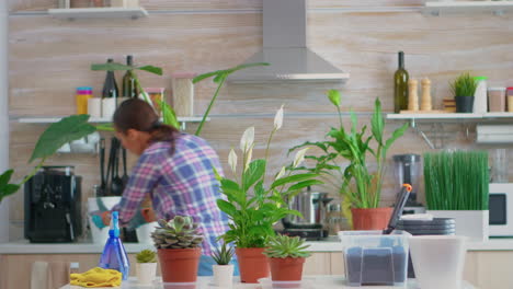 Housewife-putting-flowerpots-on-table