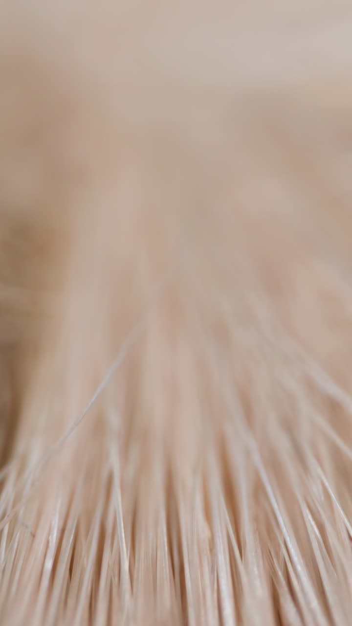 Messy plastic material treads texture as background extreme close view. Synthetic hair material in beauty salon. Design artwork and craft macro view