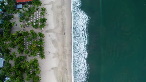 Vertikale-Drohnenaufnahme-Eines-Strandes-Mit-Palmen