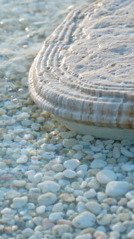 salt formation on the shores of the dead sea