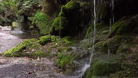 a static shot at the bottom of a mossy waterfall in a canyon