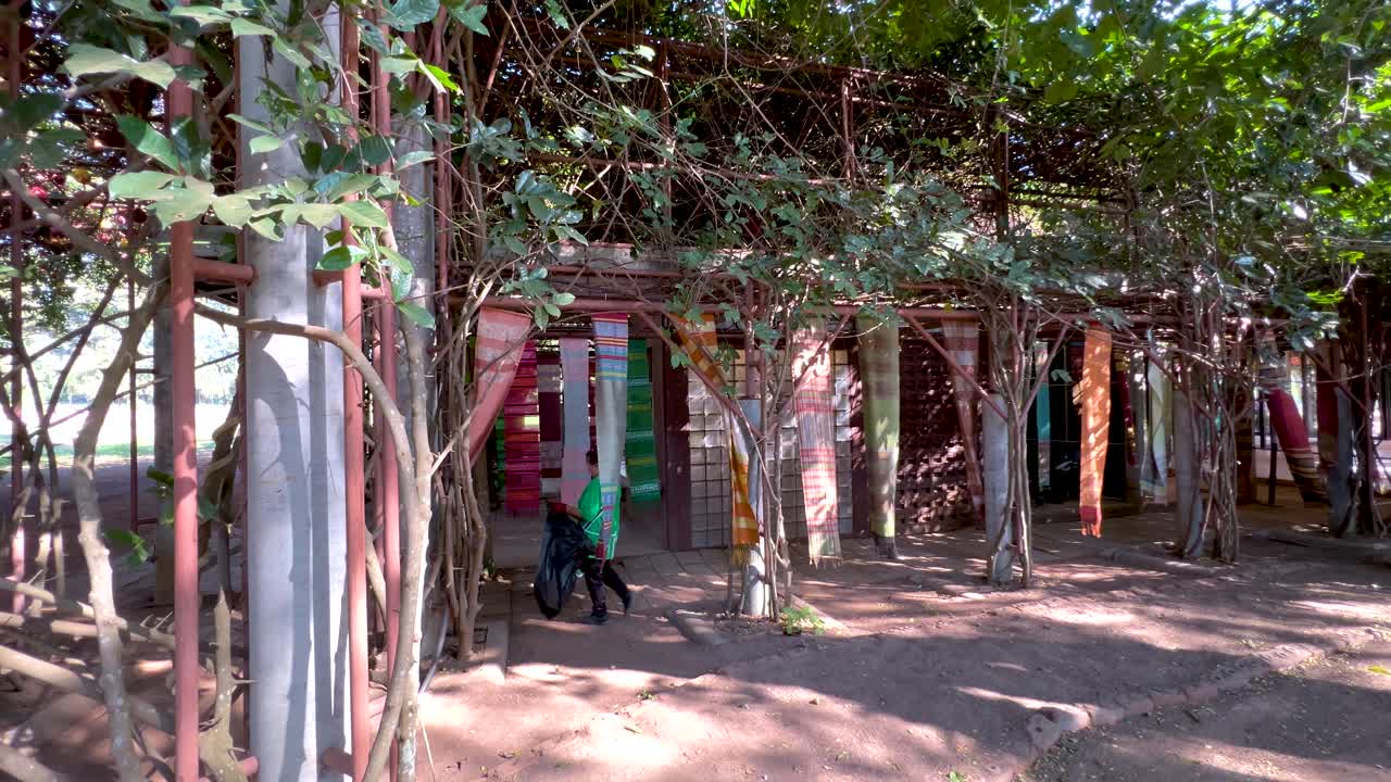 limpieza individual bajo el dosel de los árboles