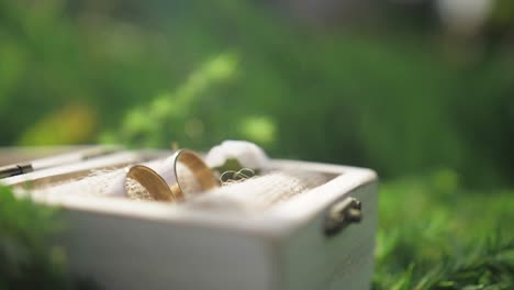 primer plano de una caja con dos anillos de boda abriéndose