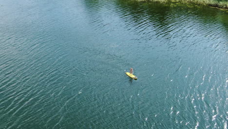 Person-paddleboarding-and-waving-to-drone-near-green-coastline,-aerial-orbit-view