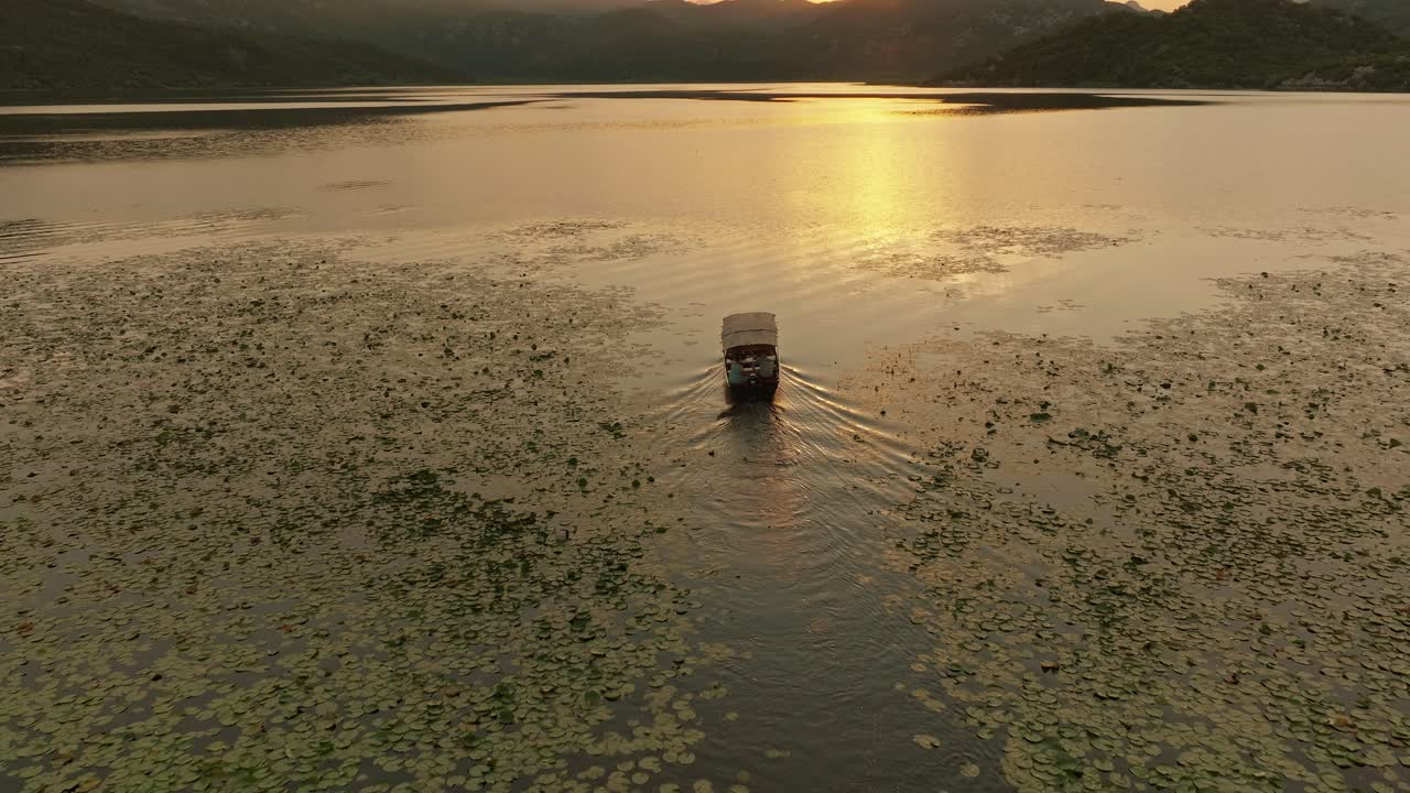 A boat moves across Skadar Lake at sunset, surrounded by lily pads, reflecting the peaceful vibe