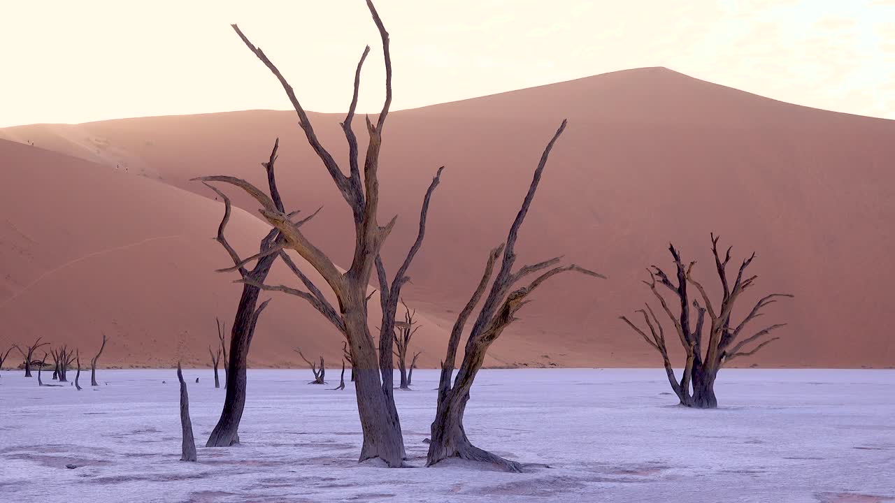 increíbles árboles muertos silueteados al amanecer en deadvlei y sossusvlei en namib naukluft national park desierto de namib namibia