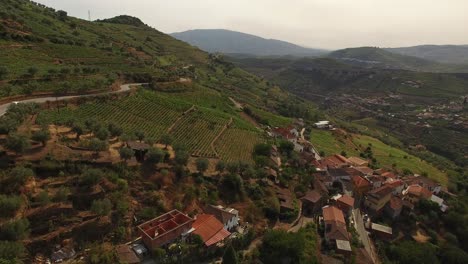 country road in famous place of alto douro vinhateiro region, portugal