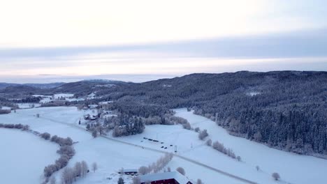 Durchqueren-Sie-Den-Bezaubernden,-Schneebedeckten-Wald,-In-Dem-Jeder-Ast-Zart-Mit-Einer-Unberührten-Schneeschicht-Geschmückt-Ist-Und-Eine-Magische-Atmosphäre-Schafft,-Die-Sie-In-Ein-Reich-Der-Ruhe-Entführt