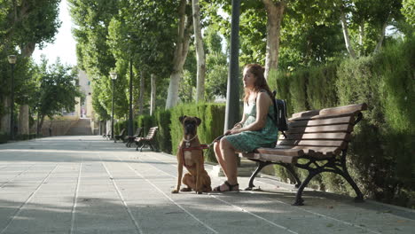 woman sitting on park bench with her dog