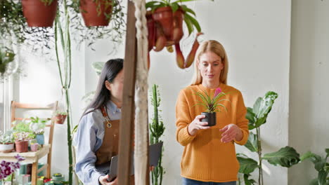 woman consulting a florist about plants