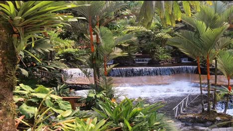 this is gopro 7 footage of one of several natural hot springs at tabacon in costa rica