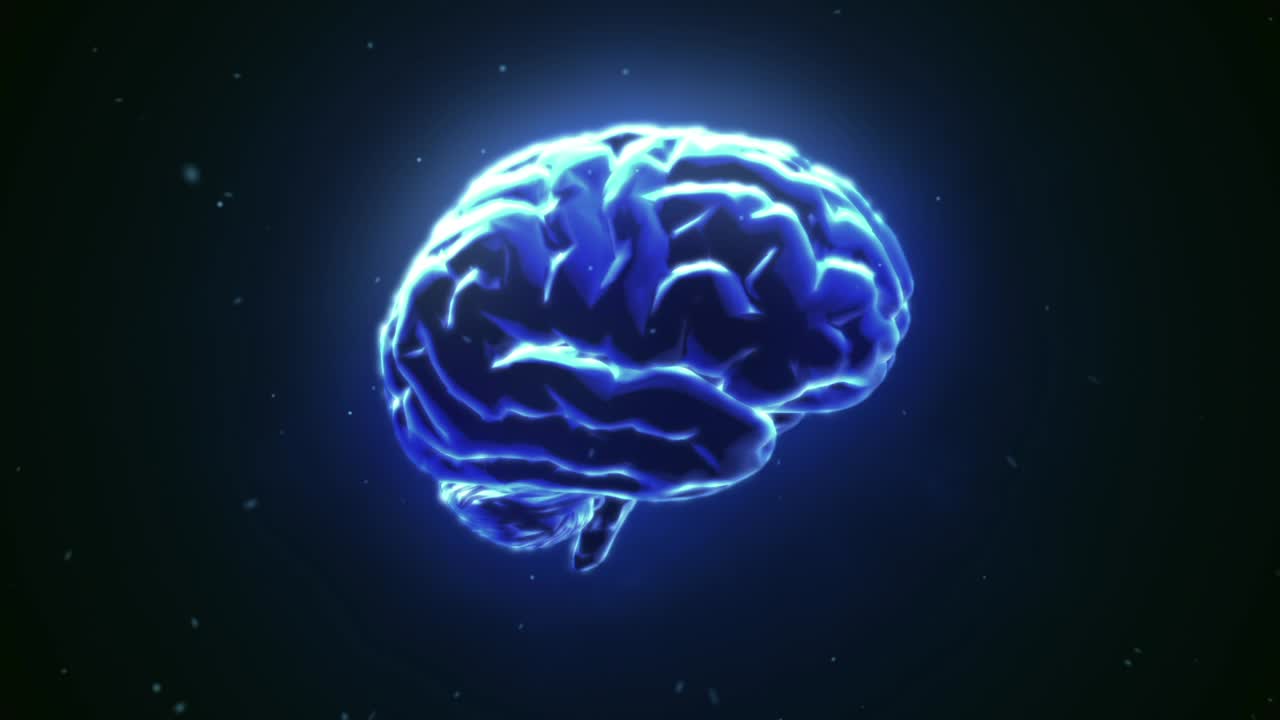 Brain Illustration