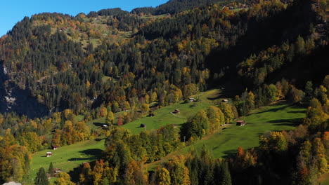 cinematic drone shot of a forest and mountainside in lauterbrunnen, switzerland