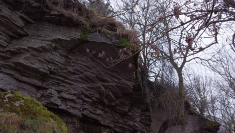 estonia, vida silvestre y naturaleza alrededor de la cascada jägala