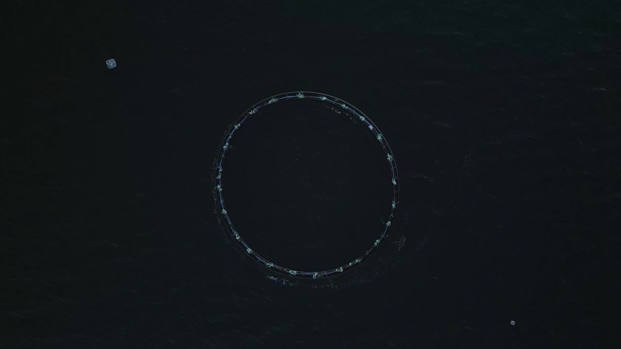Top down drone shot of Atlantic Salmon Cage on a sea fish farm on the West Coast of Scotland. Drone ascending