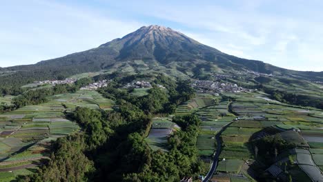 aerial view of mount sumbing with green vegetable plantation