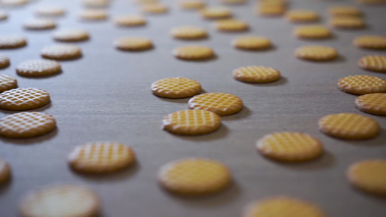 Biscuits in a converyor belt in the production line of a factory