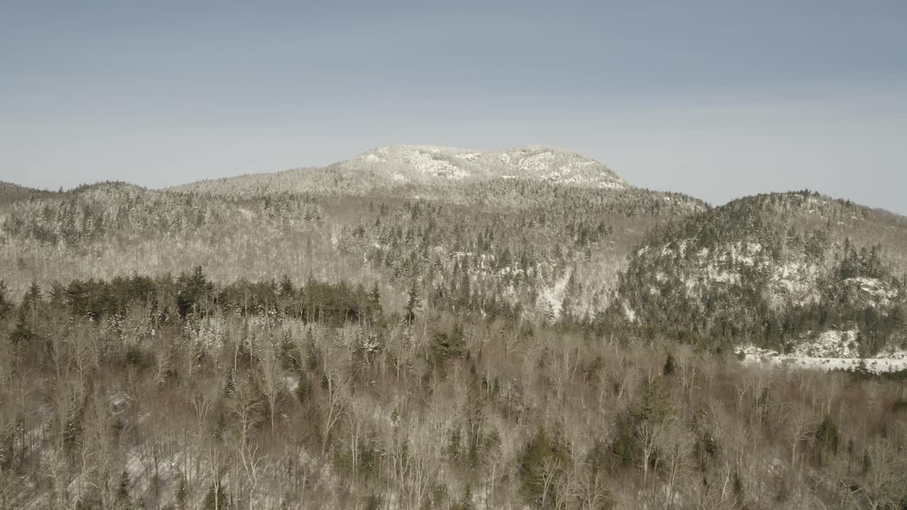 volando sobre un bosque de invierno con una montaña cubierta de nieve en la distancia
