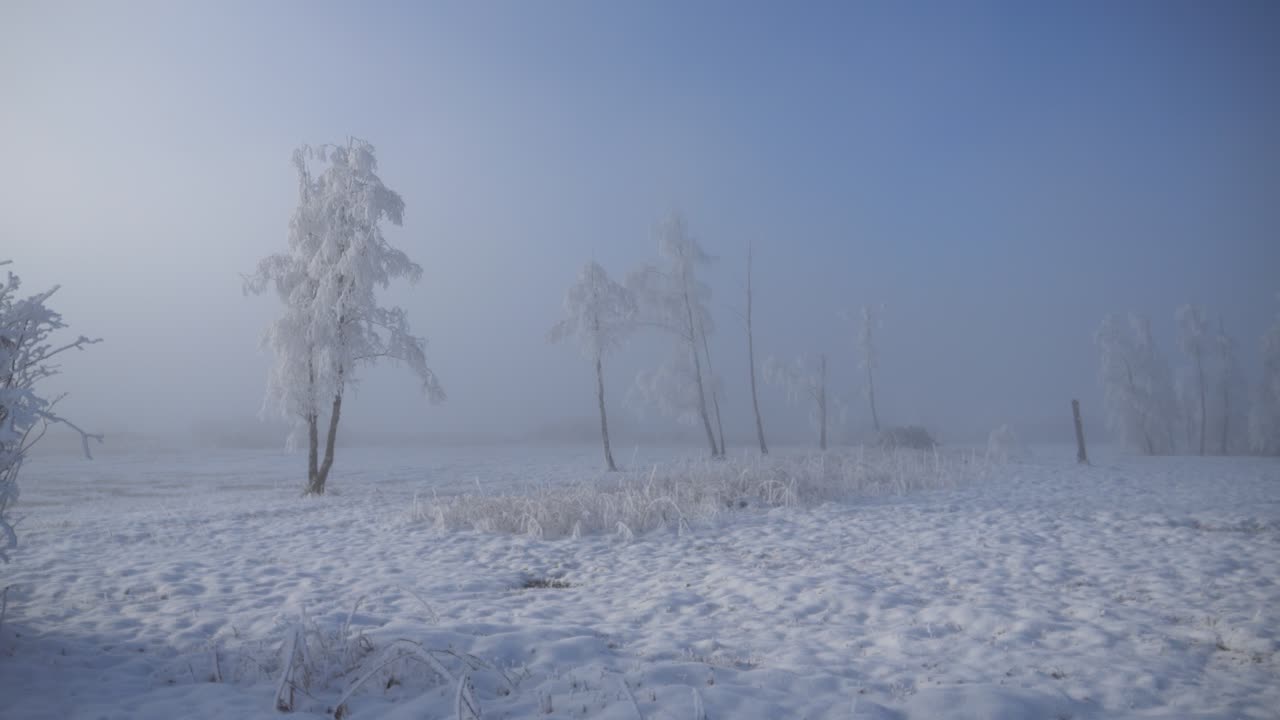 얼어붙은 나무와 안개가 가득한 분위기를 가진 여전히 겨울의 호수 조용한 눈 인 풍경, 뒷면을 가로질러 왼쪽으로 추적