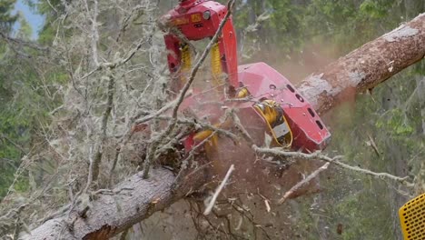 slow motion shot of electric machine equipment cleaning up tree trunk, deforestation