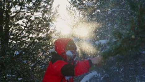 young man wearing red winter coat shaking snow off pine tree branch, slow motion