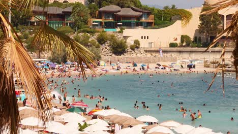 crowded beach with people swimming and relaxing