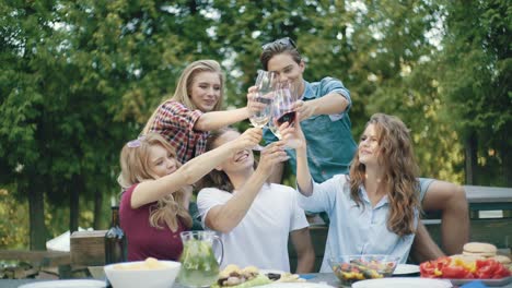 friends toasting with drinks at dinner party outdoors