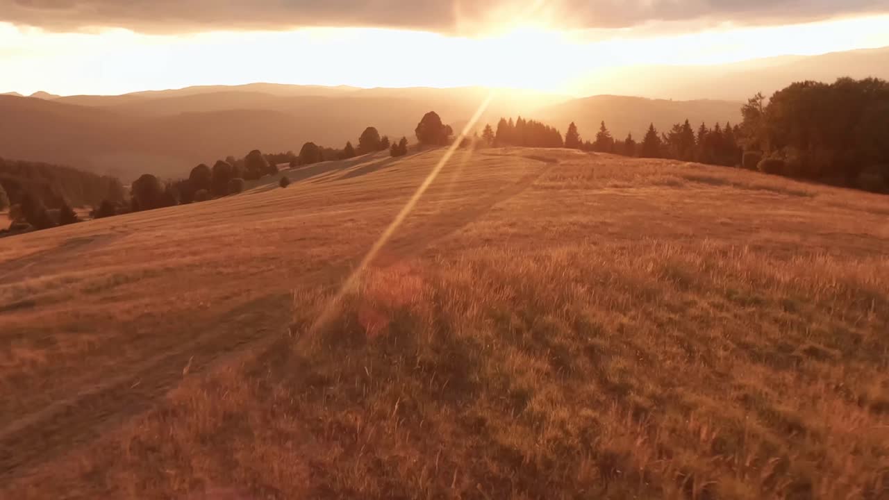 imágenes aéreas de un dron fpv de un prado iluminado por el sol durante una puesta de sol de verano