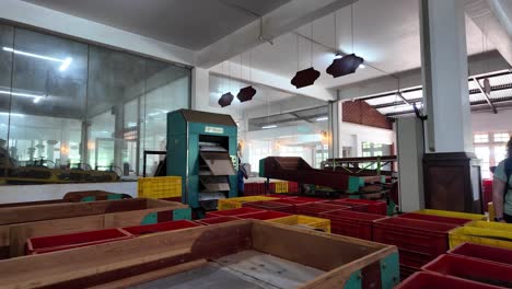 inside a sri lanka tea factory, vibrating sorting trays are processing black tea leaves for packaging and distribution