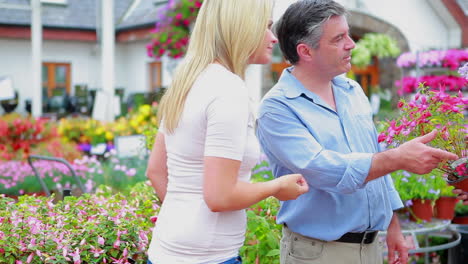couple choosing plants while assistant is helping