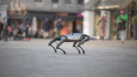 Robot-dog-walking-around-in-public,-Xiaomi-CyberDog