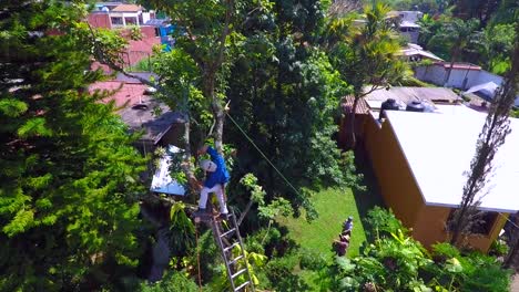pruning high trees requires skil, and a lot of value, at least in mexico it is done by very brave people