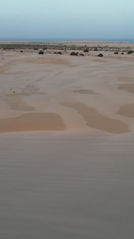 aerial view of cofete beach with endless horizon and traces on the sand