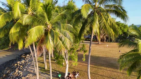Drone footage glides above a tropical park with families and friends relaxing under palm trees, golden hour sunlight, and lush coastal scenery
