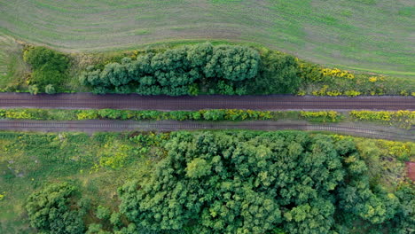 drone follow shot