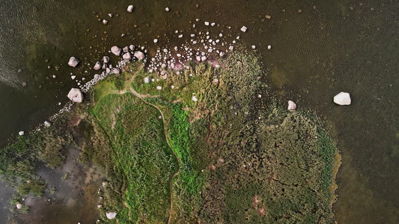 Scenic drone footage captures Estonia’s rocky shoreline where pine forests meet the sea, with rugged terrain and coastal greenery creating a peaceful and untouched Baltic landscape