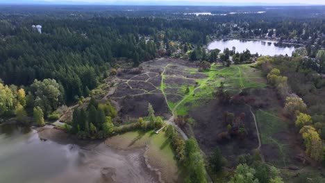 aerial view of burnt nature ground after wildfire at fort steilacoom park in lakewood, washington, usa