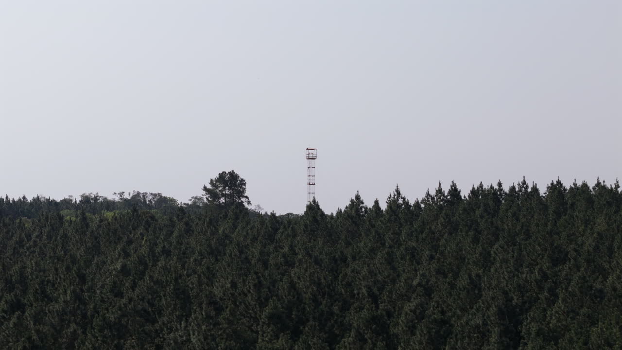 Elevated view of a forest fire lookout tower rising above a dense forest, standing tall against a clear sky, serving as a sentinel for fire detection and forest management, drone orbiting shot